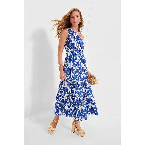 HYACINTH HOUSEBlue Floral One Shoulder Sybil Maxi Dress size medium - Picture 2 of 9